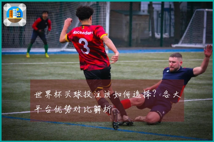 世界杯买球投注该如何选择？各大平台优势对比解析