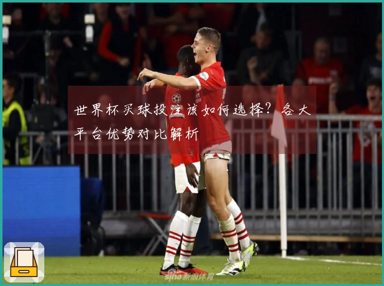 世界杯买球投注该如何选择？各大平台优势对比解析