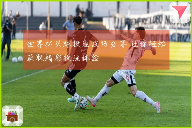 世界杯买球投注技巧分享 让你轻松获取精彩投注体验