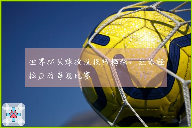 世界杯买球投注技巧揭秘，让你轻松应对每场比赛