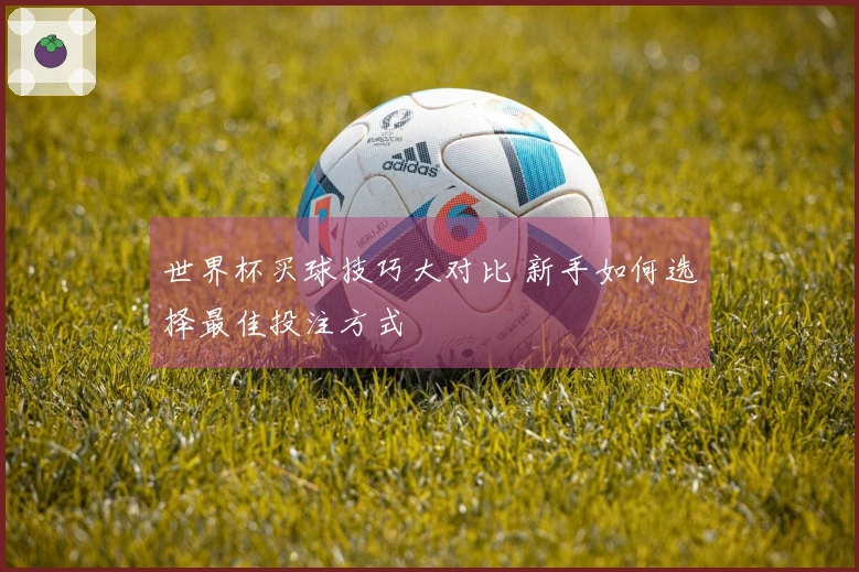 世界杯买球技巧大对比 新手如何选择最佳投注方式