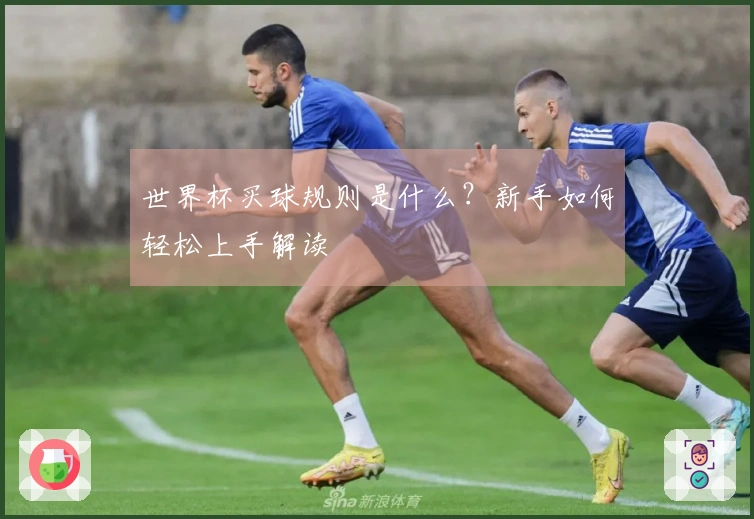 世界杯买球规则是什么？新手如何轻松上手解读
