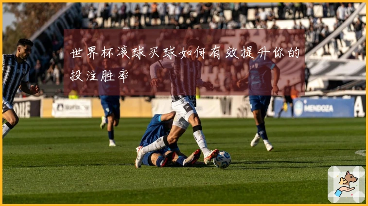 世界杯滚球买球如何有效提升你的投注胜率