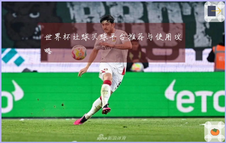 世界杯让球买球平台推荐与使用攻略