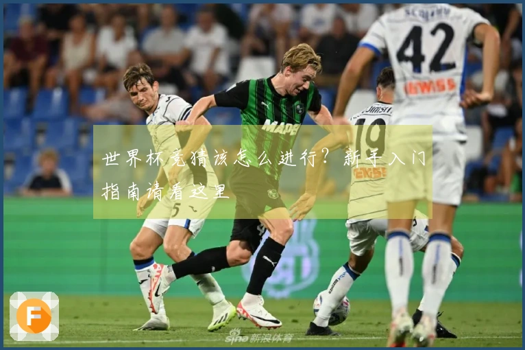 世界杯竞猜该怎么进行？新手入门指南请看这里