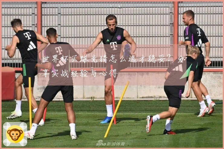 世界杯买球竞猜怎么选才稳妥？分享实战经验与心得